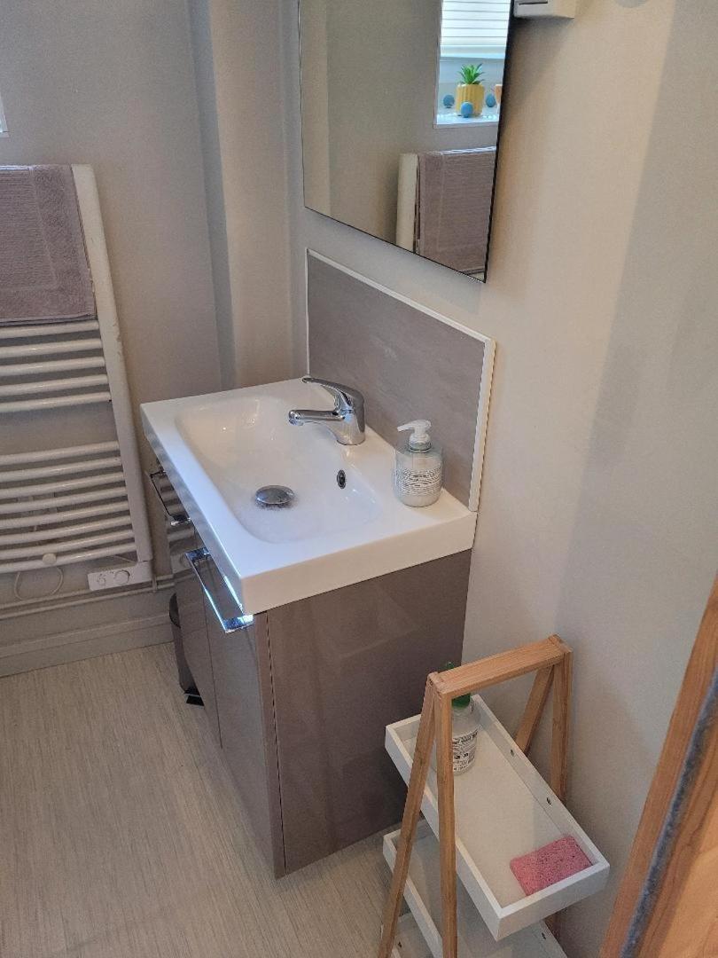 Studio Bourbon Apartment La Roche-Posay Luaran gambar
