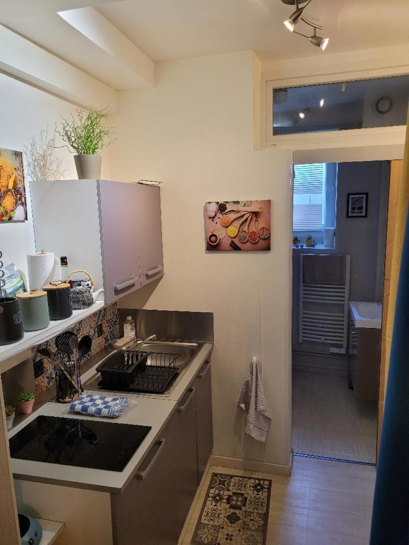 Studio Bourbon Apartment La Roche-Posay Luaran gambar